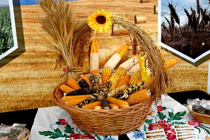 La Chişinău şi-a început lucrările Expoziția internațională specializată MOLDAGROTECH-2025, ediţia de primăvară