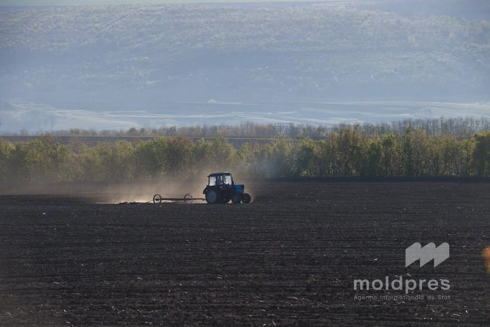 Agricultorii din Moldova vor beneficia de acces mai rapid la material semincer performant