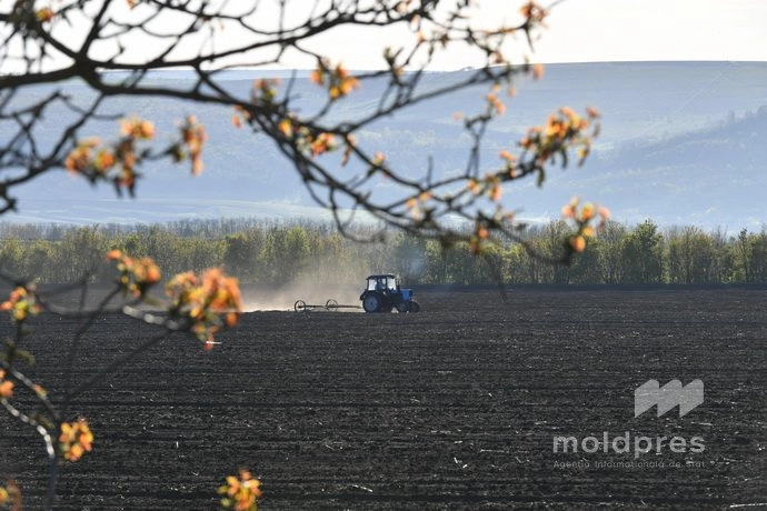 Vreme fără precipitații și maxime de până la 11 grade Celsius, prognozate pentru vineri