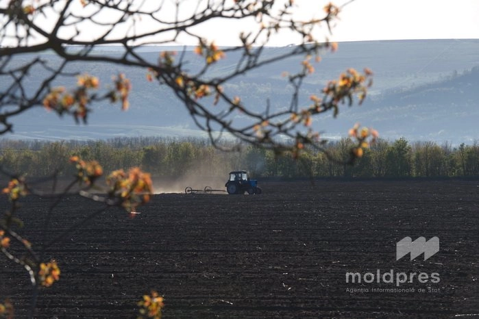 AIPA a autorizat în ultima săptămână subvenții de aproape 78 de milioane de lei pentru fermieri
