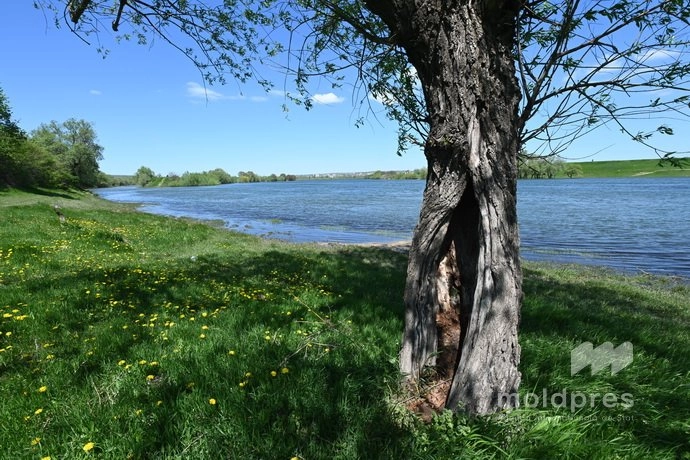 Hidrologii au avertizat asupra creșterii nivelului apei în Prut, pe sectorul Criva-Costeşti