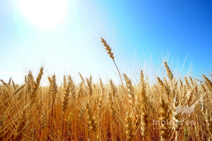 Sfârșitul de săptămână vine cu temperaturi caniculare în toată țara