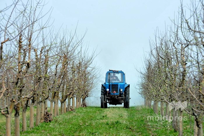 Subvenții pentru modernizarea agriculturii: peste 45 milioane de lei aprobate de AIPA săptămâna trecută