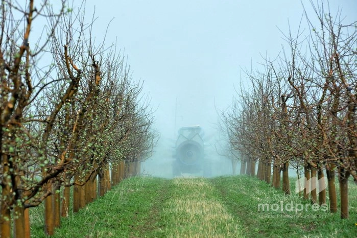 AIPA a valorificat 40% din fondul anual pentru agricultură în primele trei luni ale anului 2026