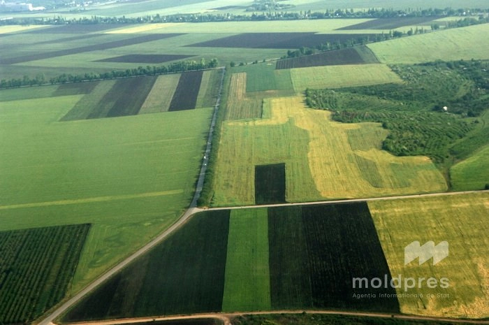 Credite de până la 150 de mii de euro pentru tinerii fermieri și femeile antreprenoare din mediul rural