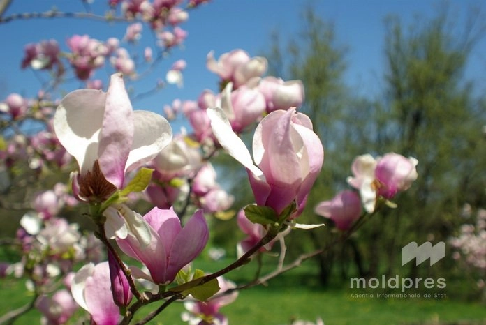 Cer senin și maxime de până la +20 de grade Celsius, prognozate pentru miercuri