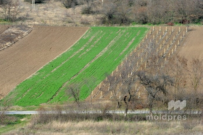 Transparență în subvenționarea agricolă: AIPA a publicat analiza de gen și distribuția fondurilor pentru anul 2025