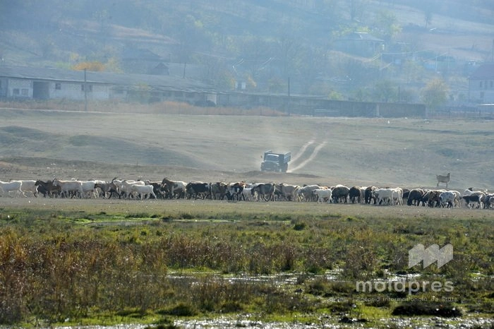  Republica Moldova pregătește implementarea sistemului IACS pentru gestionarea fondurilor europene în agricultură