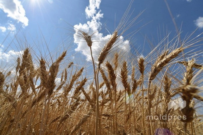 Meteorologii prognozează o zi călduroasă pentru miercuri