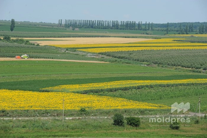 Cea de-a doua lună a verii, denumită Cuptor, începe cu temperaturi în jur de 30 de grade, fără precipitaţii