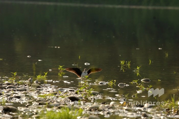 Meteorologii au emis pentru 22 iulie Cod Galben și Cod Portocaliu de caniculă