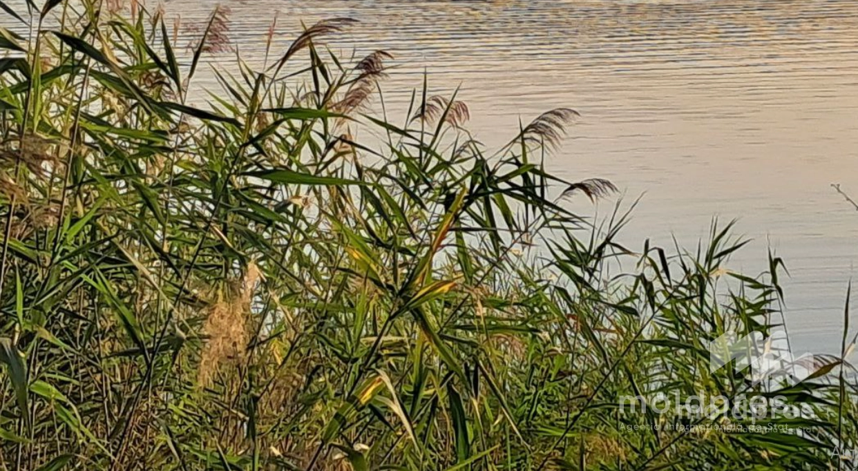 Prima zi de toamnă vine cu ploi slabe și temperaturi generoase